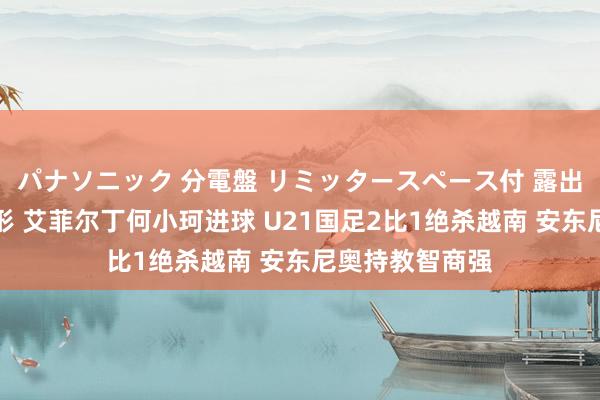 パナソニック 分電盤 リミッタースペース付 露出・半埋込両用形 艾菲尔丁何小珂进球 U21国足2比1绝杀越南 安东尼奥持教智商强