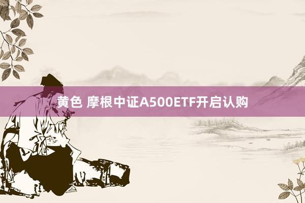 黄色 摩根中证A500ETF开启认购