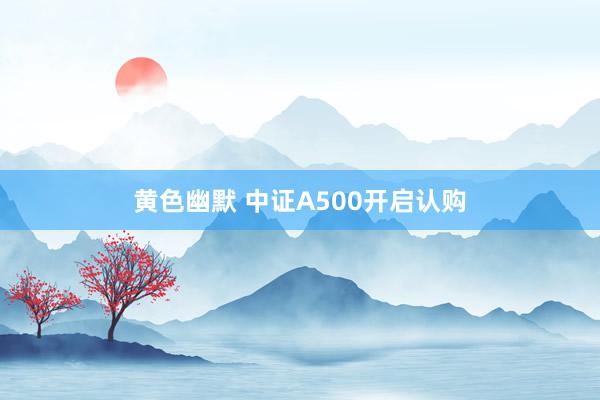 黄色幽默 中证A500开启认购