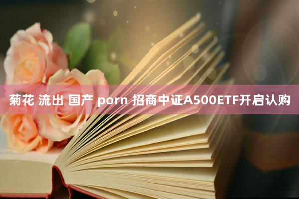 菊花 流出 国产 porn 招商中证A500ETF开启认购