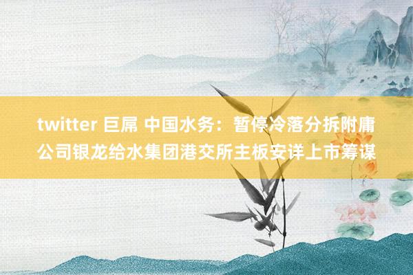 twitter 巨屌 中国水务：暂停冷落分拆附庸公司银龙给水集团港交所主板安详上市筹谋