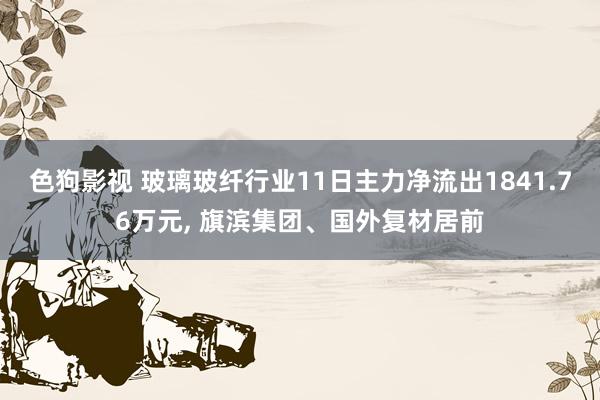 色狗影视 玻璃玻纤行业11日主力净流出1841.76万元， 旗滨集团、国外复材居前