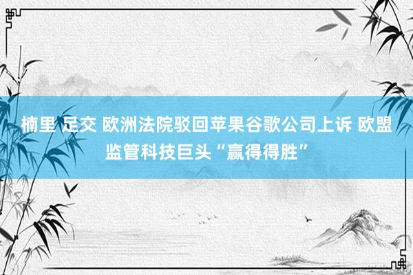 楠里 足交 欧洲法院驳回苹果谷歌公司上诉 欧盟监管科技巨头“赢得得胜”