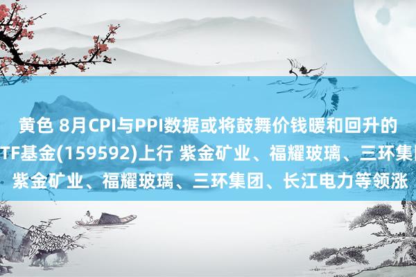 黄色 8月CPI与PPI数据或将鼓舞价钱暖和回升的计策力度高潮 A50ETF基金(159592)上行 紫金矿业、福耀玻璃、三环集团、长江电力等领涨