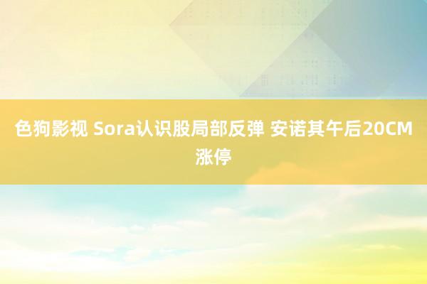 色狗影视 Sora认识股局部反弹 安诺其午后20CM涨停