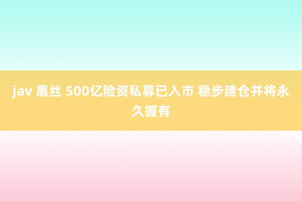 jav 黑丝 500亿险资私募已入市 稳步建仓并将永久握有