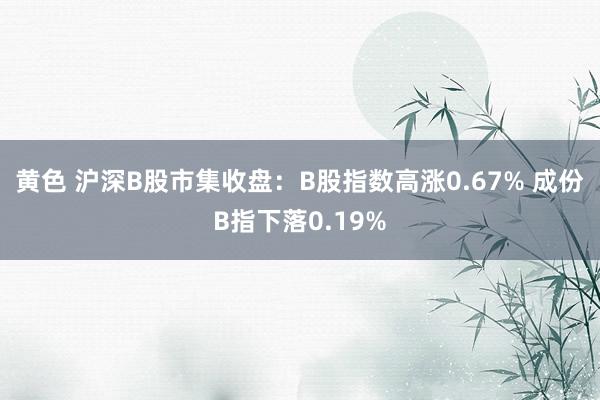 黄色 沪深B股市集收盘：B股指数高涨0.67% 成份B指下落0.19%