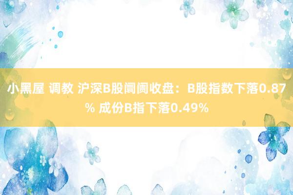 小黑屋 调教 沪深B股阛阓收盘：B股指数下落0.87% 成份B指下落0.49%