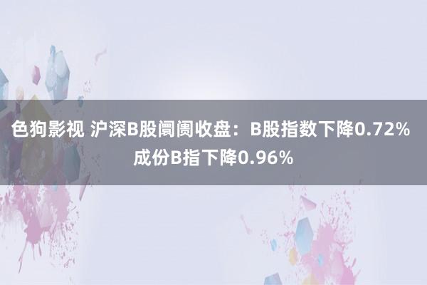 色狗影视 沪深B股阛阓收盘：B股指数下降0.72% 成份B指下降0.96%