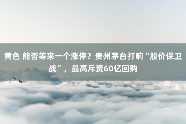 黄色 能否等来一个涨停？贵州茅台打响“股价保卫战”，最高斥资60亿回购