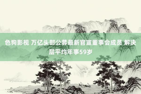 色狗影视 万亿头部公募最新官宣董事会成员 解决层平均年事59岁