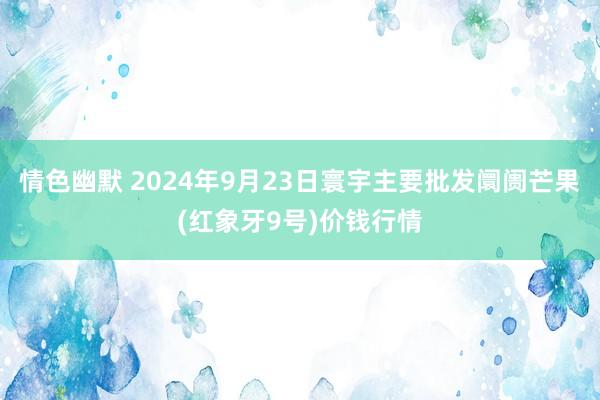 情色幽默 2024年9月23日寰宇主要批发阛阓芒果(红象牙9号)价钱行情