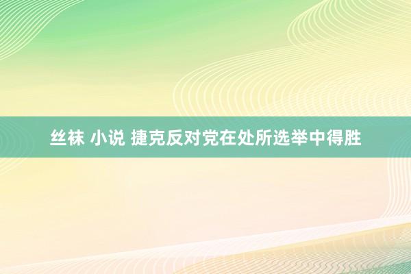 丝袜 小说 捷克反对党在处所选举中得胜