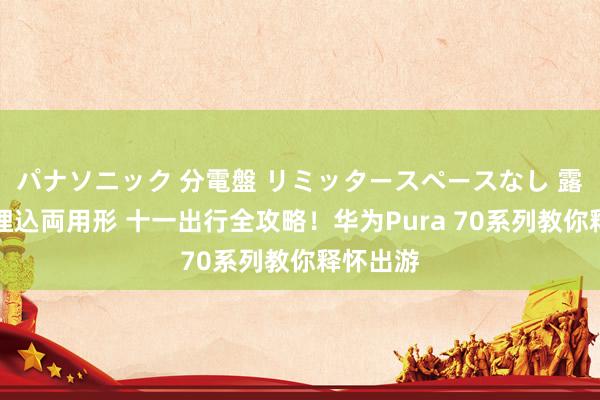 パナソニック 分電盤 リミッタースペースなし 露出・半埋込両用形 十一出行全攻略！华为Pura 70系列教你释怀出游