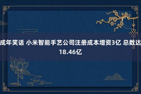 成年笑话 小米智能手艺公司注册成本增资3亿 总数达18.46亿