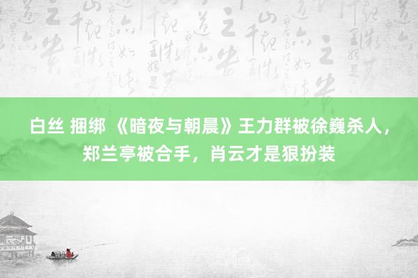 白丝 捆绑 《暗夜与朝晨》王力群被徐巍杀人，郑兰亭被合手，肖云才是狠扮装