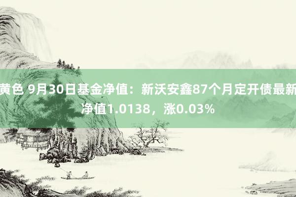 黄色 9月30日基金净值：新沃安鑫87个月定开债最新净值1.0138，涨0.03%