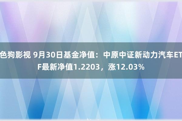 色狗影视 9月30日基金净值：中原中证新动力汽车ETF最新净值1.2203，涨12.03%