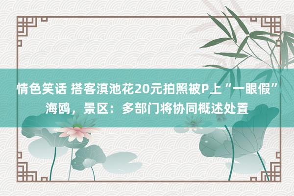 情色笑话 搭客滇池花20元拍照被P上“一眼假”海鸥，景区：多部门将协同概述处置