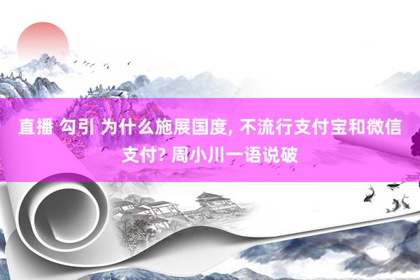 直播 勾引 为什么施展国度， 不流行支付宝和微信支付? 周小川一语说破