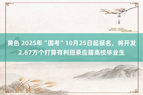 黄色 2025年“国考”10月25日起报名，将开发2.67万个打算有利招录应届高校毕业生