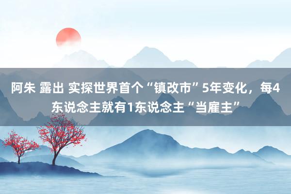 阿朱 露出 实探世界首个“镇改市”5年变化，每4东说念主就有1东说念主“当雇主”