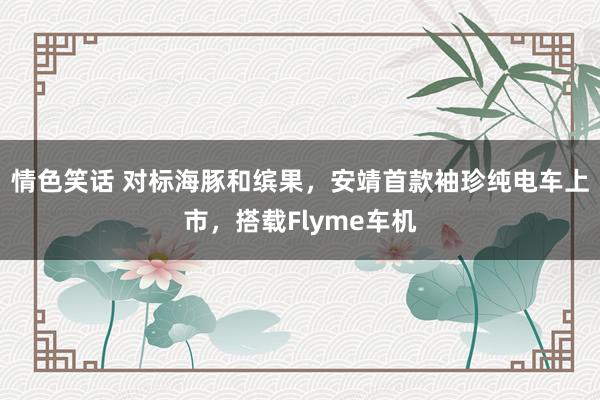 情色笑话 对标海豚和缤果，安靖首款袖珍纯电车上市，搭载Flyme车机