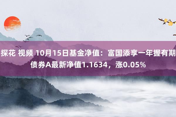 探花 视频 10月15日基金净值：富国添享一年握有期债券A最新净值1.1634，涨0.05%