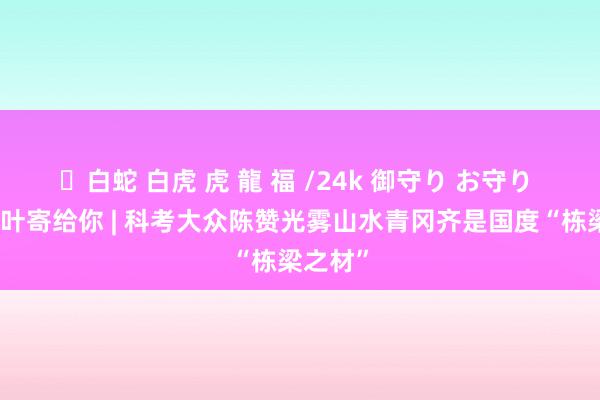 ✨白蛇 白虎 虎 龍 福 /24k 御守り お守り 我把红叶寄给你 | 科考大众陈赞光雾山水青冈齐是国度“栋梁之材”