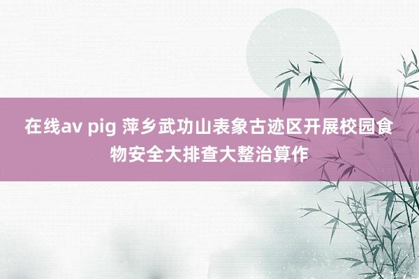 在线av pig 萍乡武功山表象古迹区开展校园食物安全大排查大整治算作