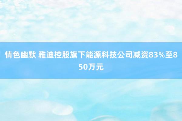 情色幽默 雅迪控股旗下能源科技公司减资83%至850万元