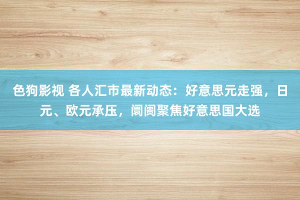 色狗影视 各人汇市最新动态：好意思元走强，日元、欧元承压，阛阓聚焦好意思国大选