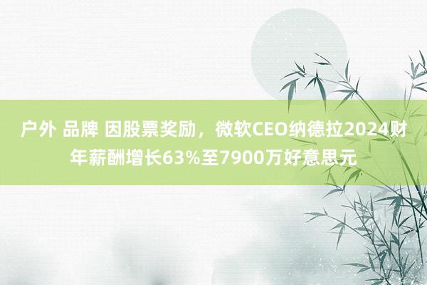 户外 品牌 因股票奖励，微软CEO纳德拉2024财年薪酬增长63%至7900万好意思元