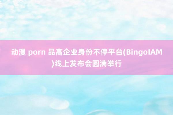 动漫 porn 品高企业身份不停平台(BingoIAM)线上发布会圆满举行