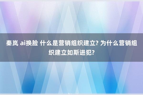 秦岚 ai换脸 什么是营销组织建立? 为什么营销组织建立如斯进犯?