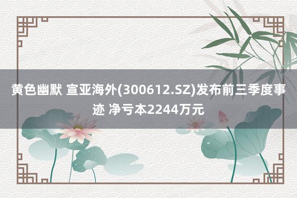 黄色幽默 宣亚海外(300612.SZ)发布前三季度事迹 净亏本2244万元