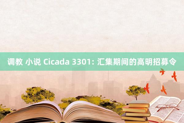 调教 小说 Cicada 3301: 汇集期间的高明招募令