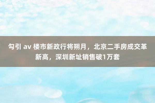 勾引 av 楼市新政行将朔月，北京二手房成交革新高，深圳新址销售破1万套