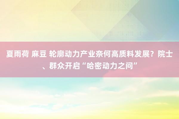 夏雨荷 麻豆 轮廓动力产业奈何高质料发展？院士、群众开启“哈密动力之问”