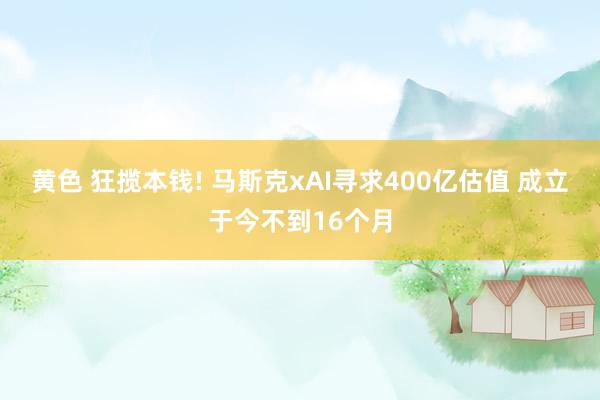 黄色 狂揽本钱! 马斯克xAI寻求400亿估值 成立于今不到16个月