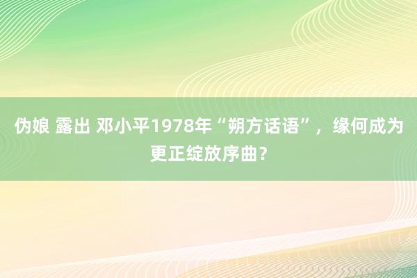 伪娘 露出 邓小平1978年“朔方话语”，缘何成为更正绽放序曲？