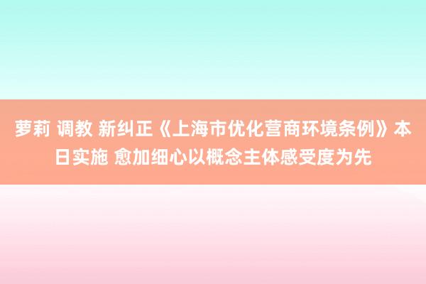 萝莉 调教 新纠正《上海市优化营商环境条例》本日实施 愈加细心以概念主体感受度为先