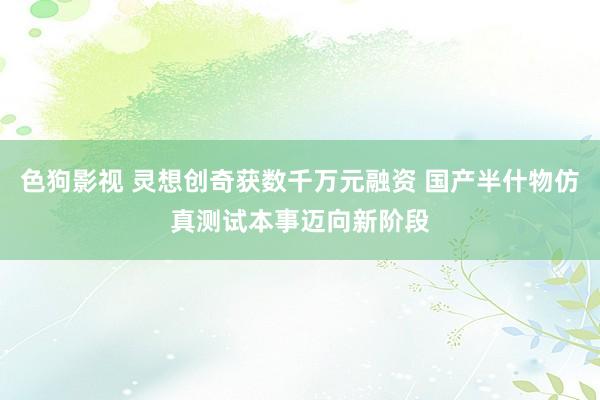 色狗影视 灵想创奇获数千万元融资 国产半什物仿真测试本事迈向新阶段