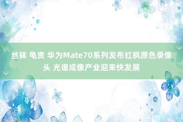 丝袜 龟责 华为Mate70系列发布红枫原色录像头 光谱成像产业迎来快发展