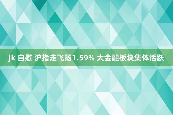 jk 自慰 沪指走飞扬1.59% 大金融板块集体活跃