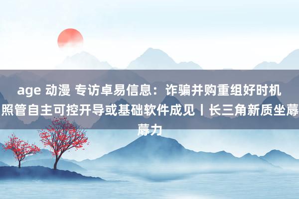 age 动漫 专访卓易信息：诈骗并购重组好时机，照管自主可控开导或基础软件成见丨长三角新质坐蓐力