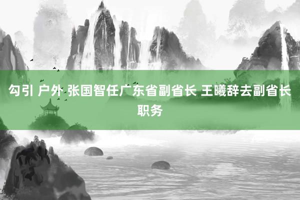 勾引 户外 张国智任广东省副省长 王曦辞去副省长职务