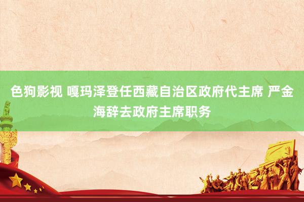 色狗影视 嘎玛泽登任西藏自治区政府代主席 严金海辞去政府主席职务