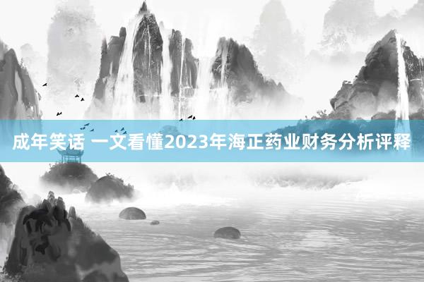 成年笑话 一文看懂2023年海正药业财务分析评释