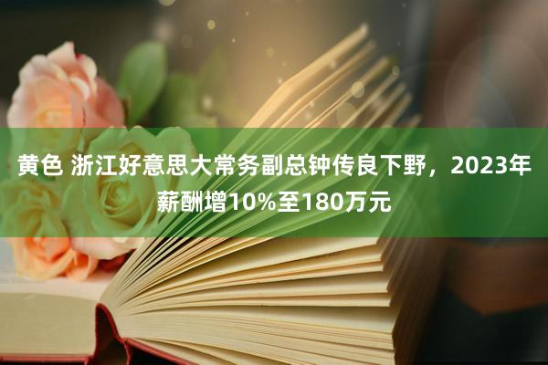 黄色 浙江好意思大常务副总钟传良下野，2023年薪酬增10%至180万元